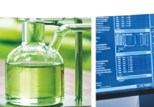 Sugar crop research and biotechnology laboratory work