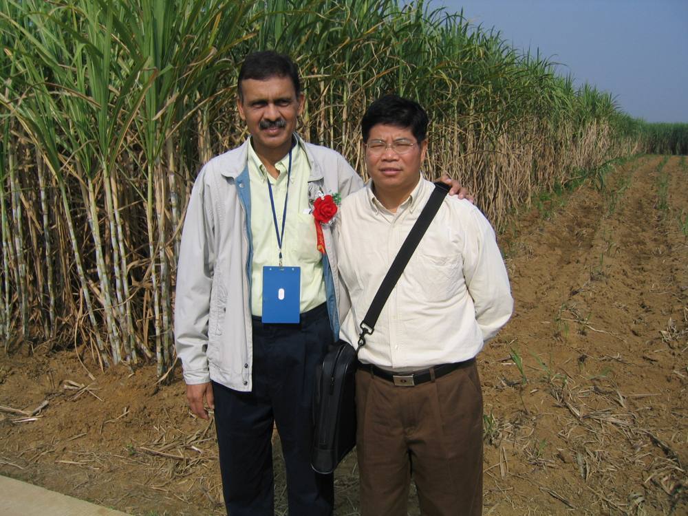 1st IAPSIT International Sugar Conference IS-2004, 2004 &mdash; photo 15