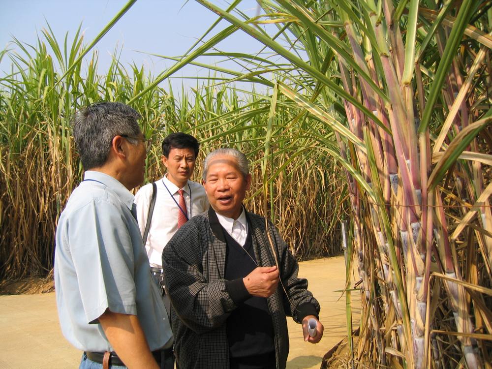 1st IAPSIT International Sugar Conference IS-2004, 2004 &mdash; photo 16