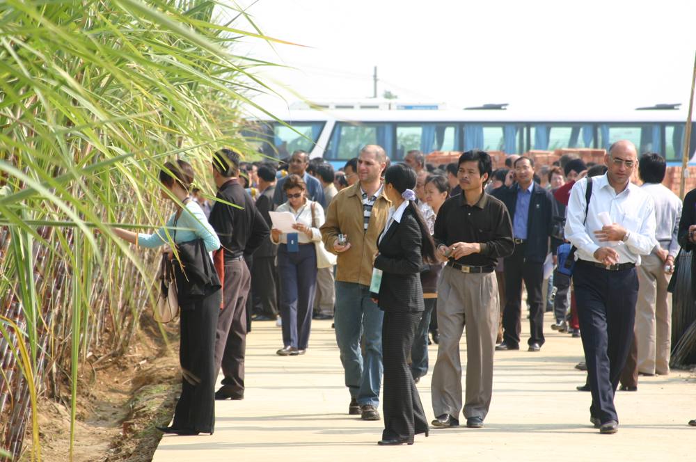 1st IAPSIT International Sugar Conference IS-2004, 2004 &mdash; photo 19