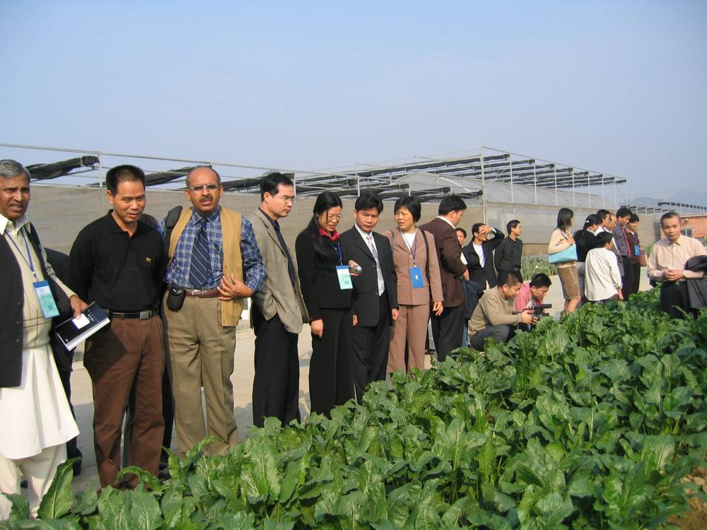 1st IAPSIT International Sugar Conference IS-2004, 2004 &mdash; photo 20