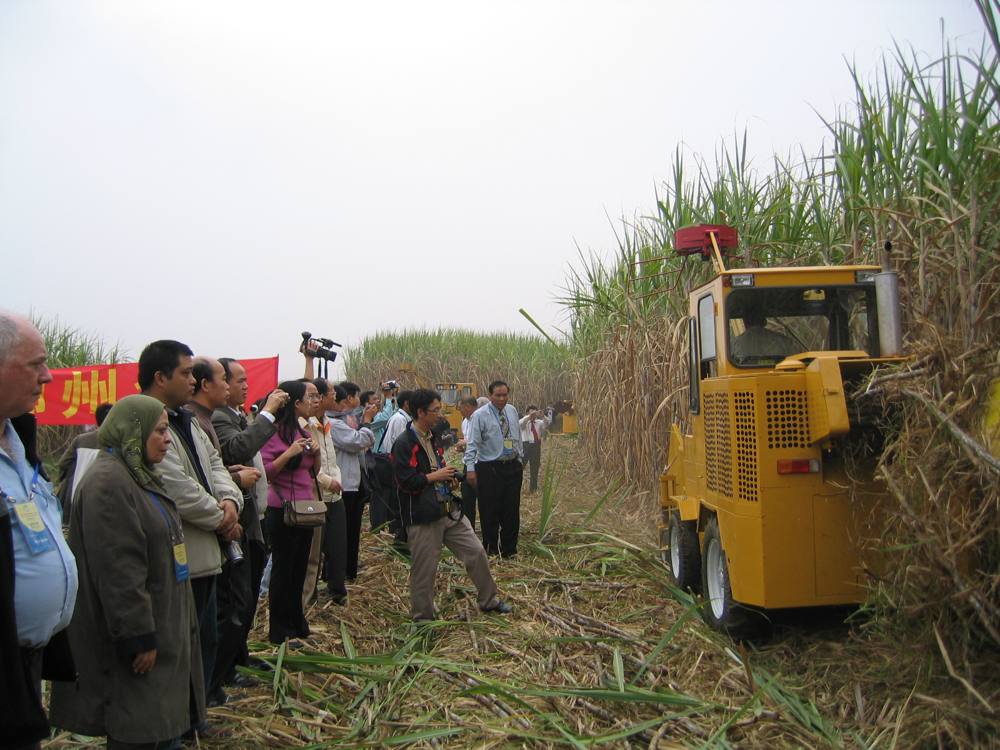 2nd IAPSIT International Sugar Conference IS-2006, 2006 &mdash; photo 17