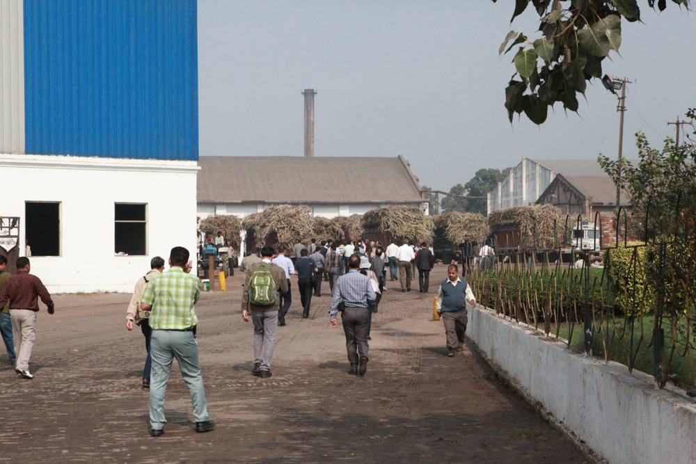4th IAPSIT International Sugar Conference IS-2011, 2011 &mdash; photo 16