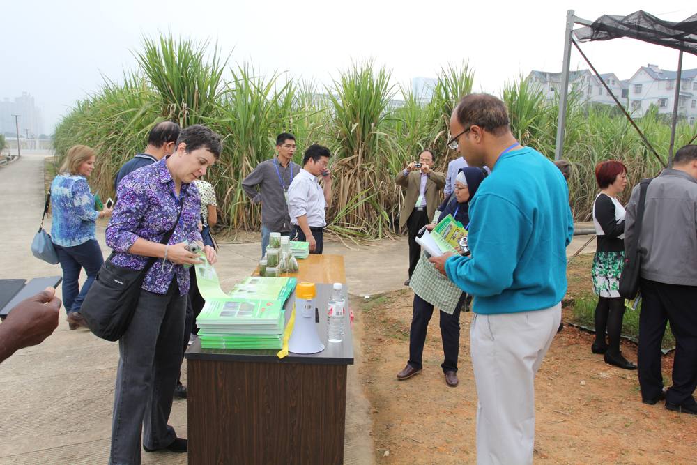 5th IAPSIT International Sugar Conference IS-2014, 2014 &mdash; photo 11