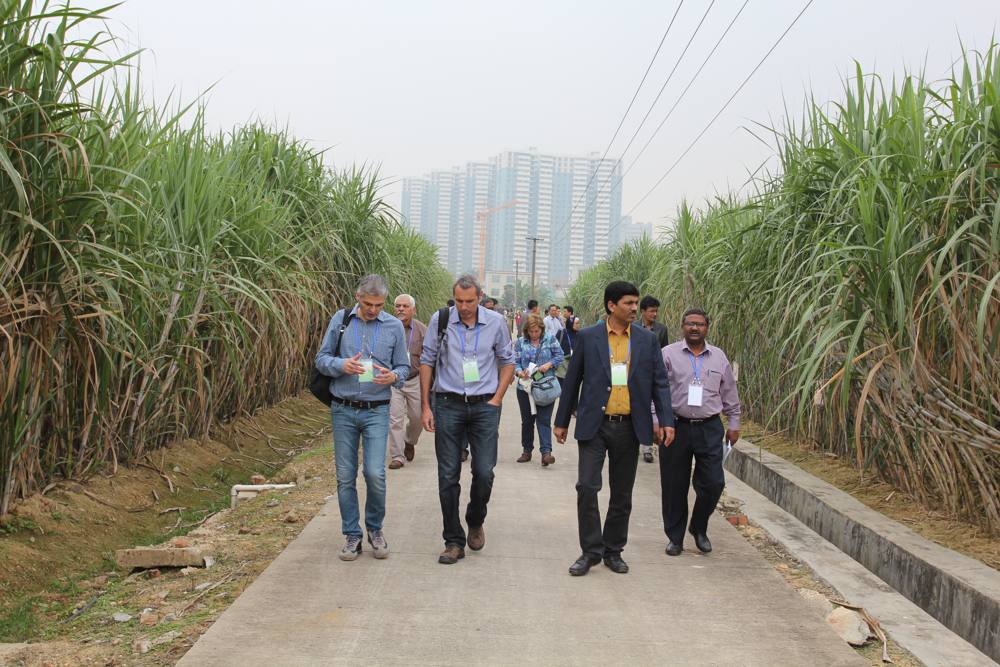 5th IAPSIT International Sugar Conference IS-2014, 2014 &mdash; photo 13